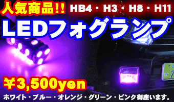 LED�t�H�O�����v��